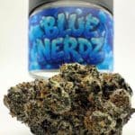 Premium Cannabis Blue Nerdz by Cannatique — top-shelf blue exotic Nerdz cannabis worldwide delivery
