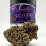 Granddaddy Pluto by Cannatique — best premium deep purple indica exotic cannabis worldwide