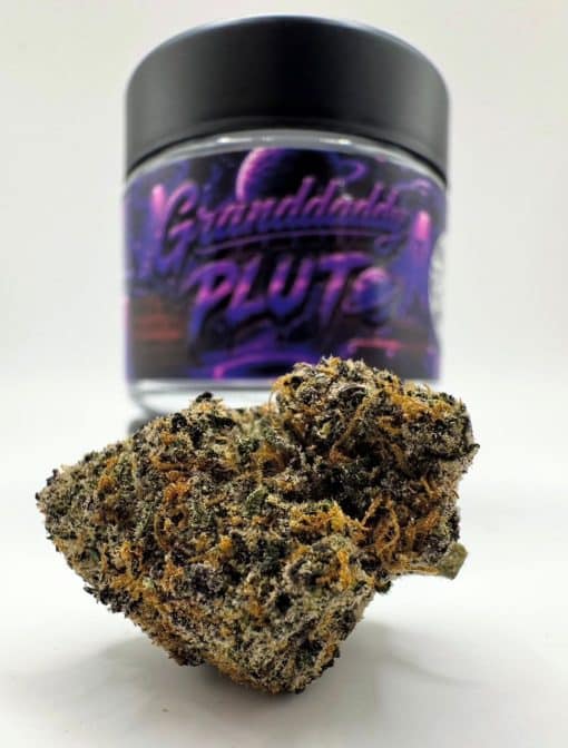 granddaddy-pluto-by-cannatique-best-premium-deep-purple-indica Granddaddy Pluto by Cannatique — best premium deep purple indica exotic cannabis worldwide