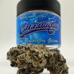 Premium Blue Raspberry Gelato by Cannatique — top-shelf blue raspberry gelato exotic cannabis worldwide