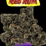 Red Rum Cannabis by Cannatique — rare red exotic cannabis worldwide delivery