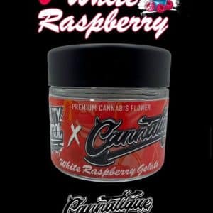 White Raspberry Gelato by Cannatique — stunning white raspberry gelato exotic cannabis worldwide delivery
