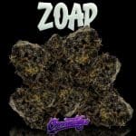 Zoap Strain by Cannatique — strain-verified Zoap gas exotic cannabis worldwide delivery